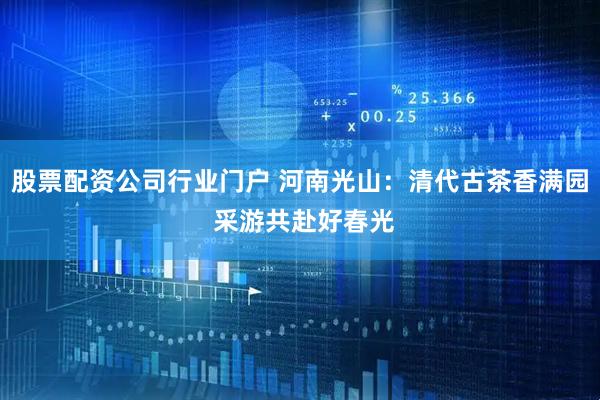 股票配资公司行业门户 河南光山：清代古茶香满园 采游共赴好春光